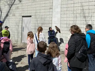 Wild Ontario presentation with a red-tailed hawk at Lambton Heritage Museum in April 2025
