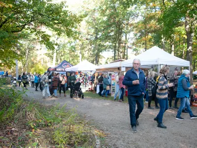 Visitors browse vendors at the 2024 Lambton Fall Colour & Craft Festival