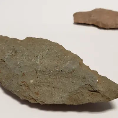 Stone tools found on Lambton Heritage Museum's property